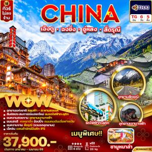 ทัวร์จีน เฉิงตู ฉงชิ่ง อู่หลง สี่ดรุณี 6วัน5คืน